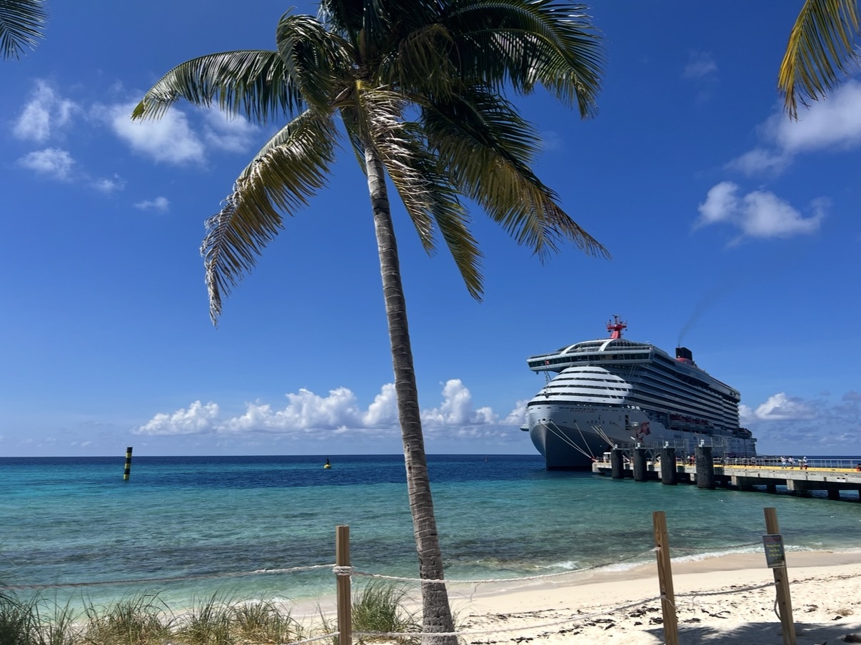 A cruise ship docked beyond a palm tree and turquoise shallows in Turks and Caicos